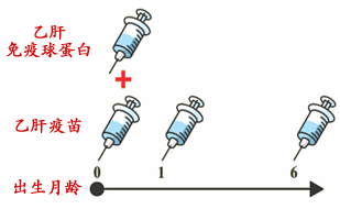 1550197375229058047.png 2.png